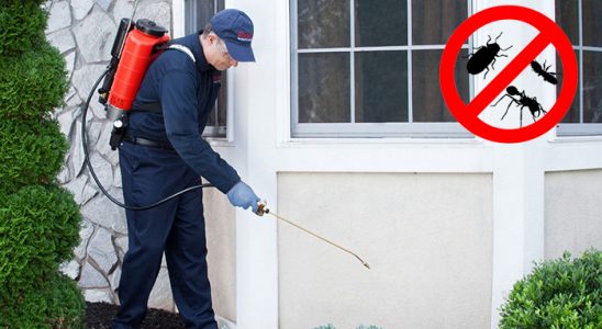 Adaklı Fare İlaçlama böcek ilaçlama ve haşere kontrolü — ilaclama-tr.com